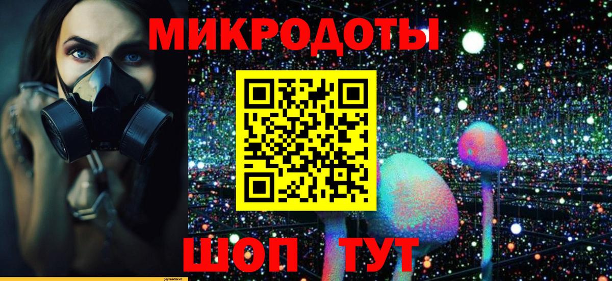 Галлюциногенные грибы Psilocybine cubensis Амурск